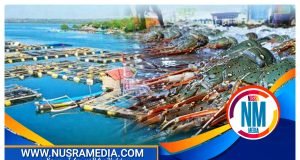 Telong Elong Produsen Lobster Dunia