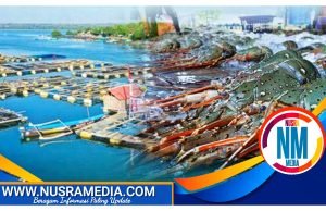 Telong Elong Produsen Lobster Dunia