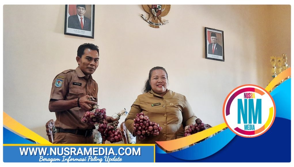 Pengembangan Bawang Merah Cukup Menjanjikan dan Sangat Cocok di Sumbawa