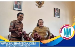 Pengembangan Bawang Merah Cukup Menjanjikan dan Sangat Cocok di Sumbawa