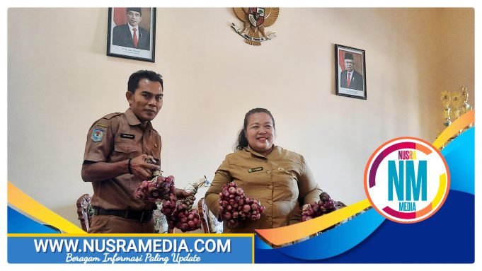 Pengembangan Bawang Merah Cukup Menjanjikan dan Sangat Cocok di Sumbawa