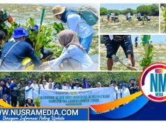 Jaga Ekosistem Laut, Bank NTB Syariah Tanam 10 Ribu Bibit Mangrove di Kawasan Gili Lampu