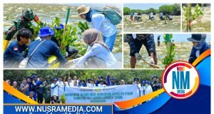 Jaga Ekosistem Laut, Bank NTB Syariah Tanam 10 Ribu Bibit Mangrove di Kawasan Gili Lampu