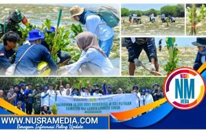 Jaga Ekosistem Laut, Bank NTB Syariah Tanam 10 Ribu Bibit Mangrove di Kawasan Gili Lampu