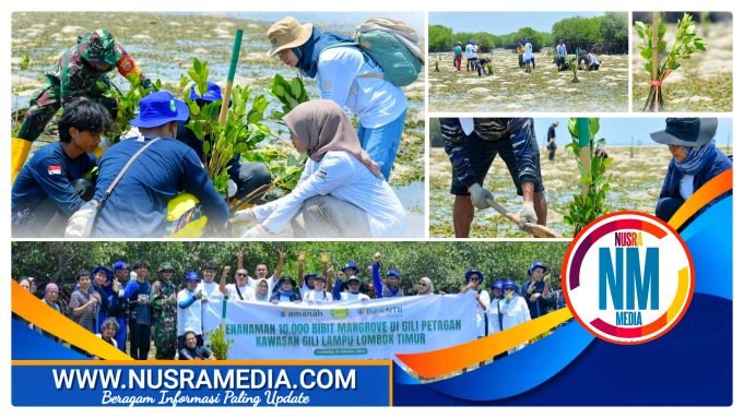 Jaga Ekosistem Laut, Bank NTB Syariah Tanam 10 Ribu Bibit Mangrove di Kawasan Gili Lampu