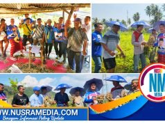 Hadiri Panen Raya Kacang Tanah di KSB, HMS Juga Berikan Bantuan Beragam Bibit Buah