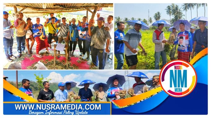 Hadiri Panen Raya Kacang Tanah di KSB, HMS Juga Berikan Bantuan Beragam Bibit Buah