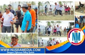 Hadiri Karapan Ayam di Batu Bangka, Johan Rosihan : Permainan Rakyat Harus Terus Dilestarikan !