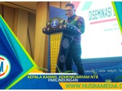 UMKM Didorong Daftar Perseroan Perorangan : Syarat Sederhana, Tak Perlu Akta Notaris !