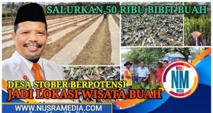Disupport Johan Rosihan, Lahan Kritis Bakal “Disulap” Jadi Kebun Buah