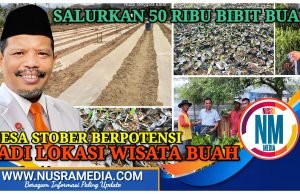 Disupport Johan Rosihan, Lahan Kritis Bakal “Disulap” Jadi Kebun Buah