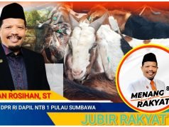 Johan Rosihan Salurkan Bantuan Ratusan Kambing di Pulau Sumbawa