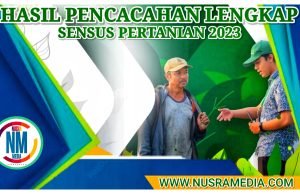 Petani Milenial di NTB Capai 225.483 Orang