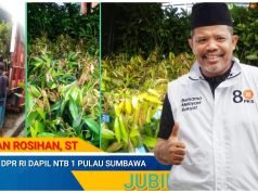 Johan Rosihan Berikan Bantuan 1.500 Bibit Buah di Langgudu