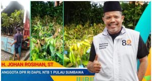 Johan Rosihan Berikan Bantuan 1.500 Bibit Buah di Langgudu