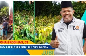 Johan Rosihan Berikan Bantuan 1.500 Bibit Buah di Langgudu