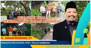 Johan Rosihan Berikan Bantuan 5 Ribu Bibit Buah di Kabupaten Bima