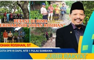 Johan Rosihan Berikan Bantuan 5 Ribu Bibit Buah di Kabupaten Bima