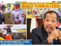 Johan Rosihan Susun Strategi Cuatkan Produk Pertanian Sumbawa di Pasar Nasional
