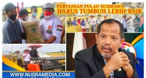 Johan Rosihan Susun Strategi Cuatkan Produk Pertanian Sumbawa di Pasar Nasional