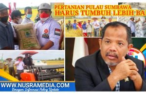 Johan Rosihan Susun Strategi Cuatkan Produk Pertanian Sumbawa di Pasar Nasional