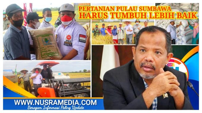 Johan Rosihan Susun Strategi Cuatkan Produk Pertanian Sumbawa di Pasar Nasional