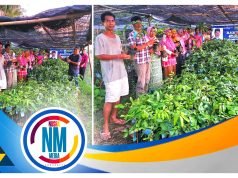 HMS Salurkan 3 Ribu Bibit Produktif Bagi Pokdarwis di Sumbawa