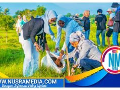 BPPD NTB Tanam 100 Pohon di Savana Bale Tepak