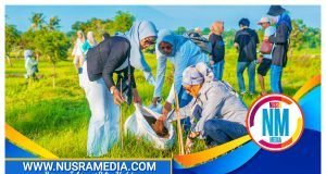 BPPD NTB Tanam 100 Pohon di Savana Bale Tepak