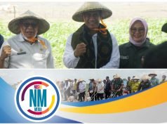 Perkuat Persediaan Nasional 2024, Menteri Pertanian Tanam Jagung di Sumbawa