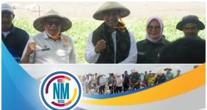 Perkuat Persediaan Nasional 2024, Menteri Pertanian Tanam Jagung di Sumbawa