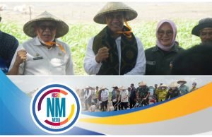 Perkuat Persediaan Nasional 2024, Menteri Pertanian Tanam Jagung di Sumbawa