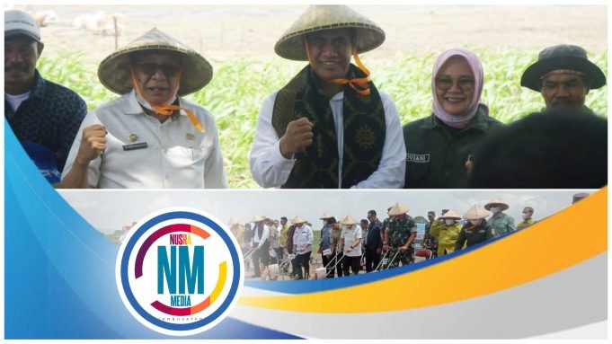 Perkuat Persediaan Nasional 2024, Menteri Pertanian Tanam Jagung di Sumbawa