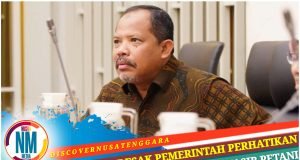 Ditanya Soal Jatah Alokasi Pupuk NTB Dikurangi, Ini Kata Johan Rosihan