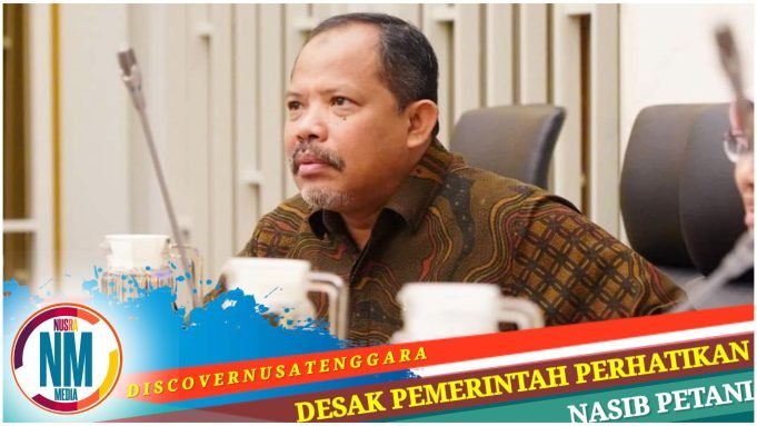 Ditanya Soal Jatah Alokasi Pupuk NTB Dikurangi, Ini Kata Johan Rosihan