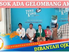 Aktivis Tuding OJK NTB Gunakan Dana FKIJK Untuk Kampanye Caleg Sejumlah aktivis dari DPD Komite Nasional Pemuda Indonesia (KNPI) NTB, Kesatuan Aksi Mahasiswa Muslin Indonesia (KAMMI) NTB, DPD Gerakan Mahasiswa Nasional Indonesia (GMNI) NTB dan Himmah Nahdlatul Wathan menggelar konferensi pers di Kota Mataram. (Ist)