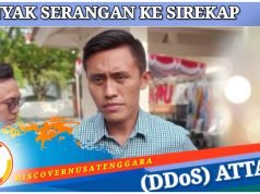 Sirekap Tak Lancar, KPU Sampaikan Permohonan Maaf