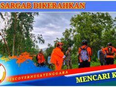 Seorang Pria Paruh Baya Hilang di Tengah Hutan