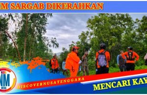 Seorang Pria Paruh Baya Hilang di Tengah Hutan