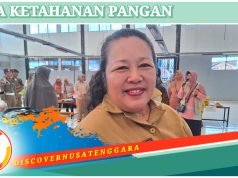 Realisasi Tanam Padi Capai 21.031 Hektare