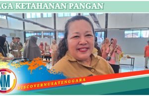 Realisasi Tanam Padi Capai 21.031 Hektare