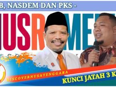 Raup Suara Tembus 96.127, Johan Rosihan Lolos ke Senayan