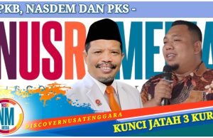 Raup Suara Tembus 96.127, Johan Rosihan Lolos ke Senayan