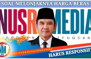 Waka Ansori Minta Bulog Sumbawa Segera Bersikap