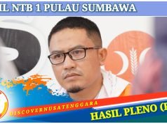 Johan Rosihan Berhasil Pertahankan Kursi DPR RI