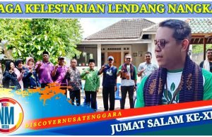 Dinas LHK NTB Dukung Penuh Penghijauan di Areal Mata Air