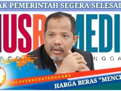 Johan Rosihan : Pemerintah Jangan Sepelekan Kelangkaan Beras