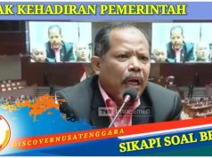 Johan Rosihan Dorong Bentuk Rapat Gabungan di DPR
