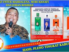 Akhirnya Johan Rosihan Dipastikan Lanjut ke Periode Dua