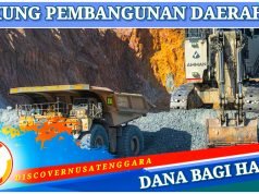PT Amman Setorkan Porsi Daerah Rp437 Miliar